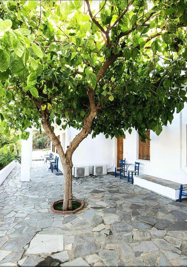 Mavrikou Helen Apartments スキロス エクステリア 写真